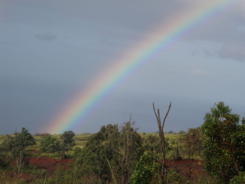 Rainbow on West Side Oahu at elevation by Dr. Shine 2008